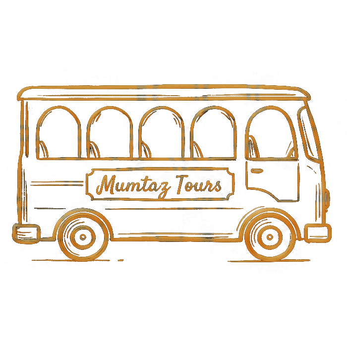 Stylized Excursion icon showing a mountain and sun symbolizing travel service with a simple graphic background